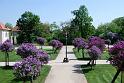 2009-04-28, Pillnitz (1)